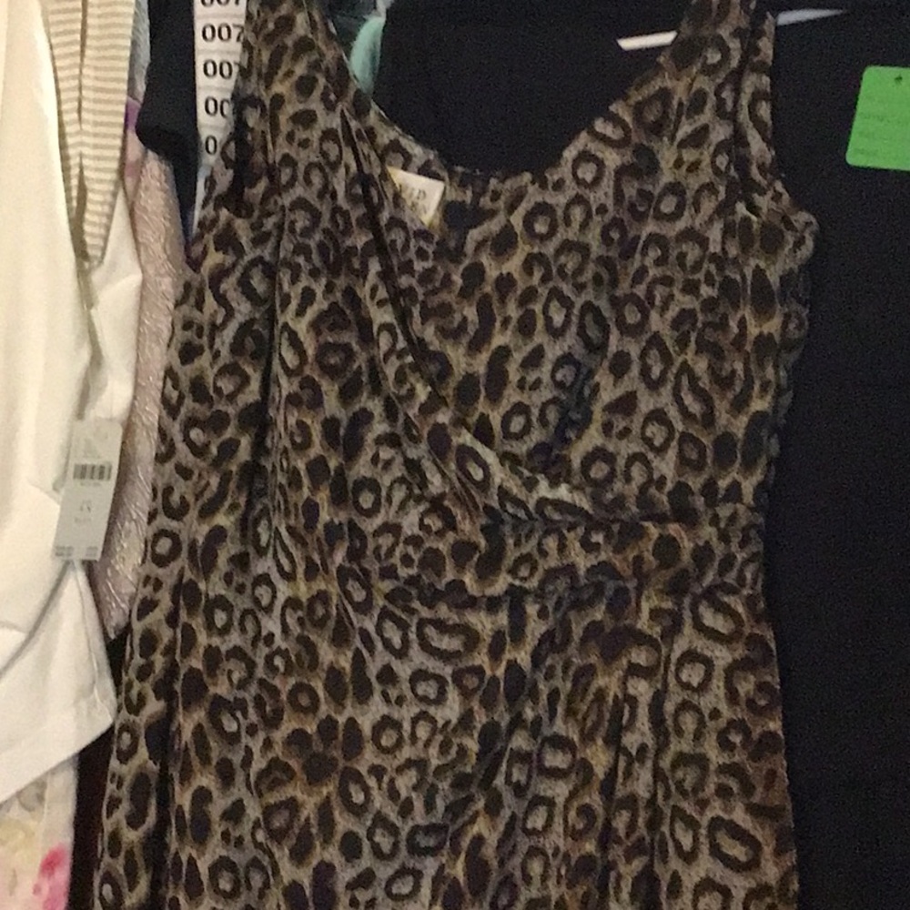 Leopard Dress